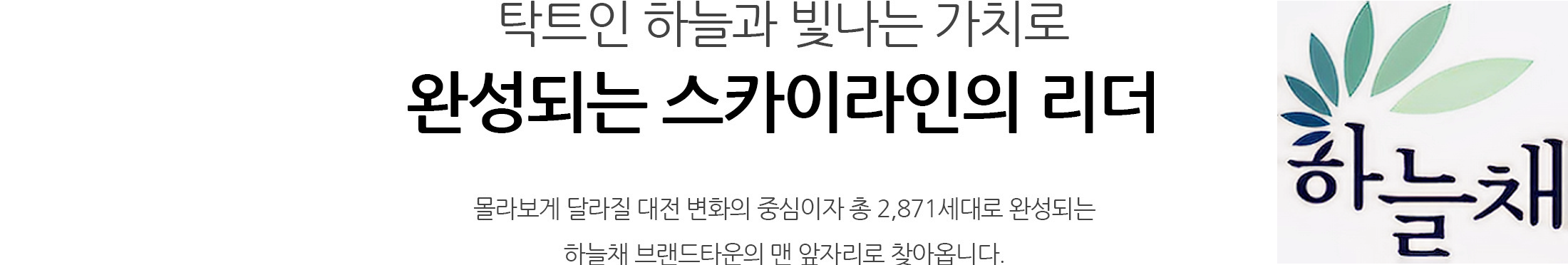 대전 하늘채 루시에르 입지 1번1.png