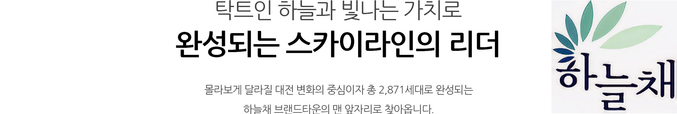 대전 하늘채 루시에르 입지 1번1.jpg